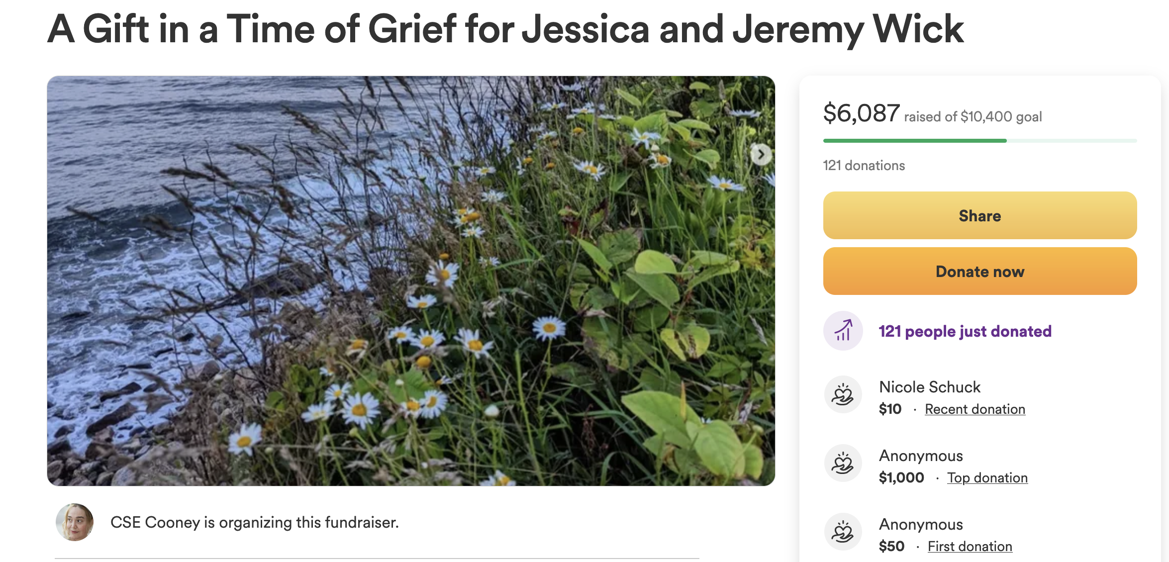 Screenshot of the fundraiser for Jessica and Jeremy Wick showing 121 donations totaling $6,087. The banner image is a landscape photo or grasses and flowers along a shoreline.
