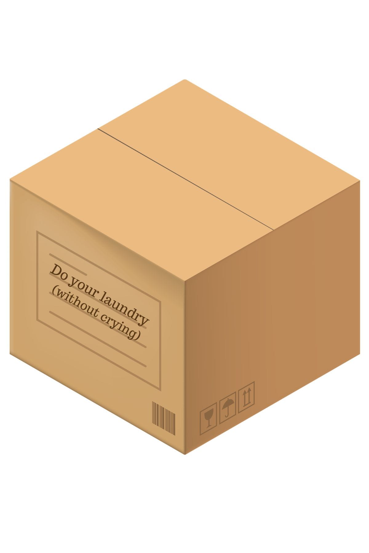 A brown cardboard box with a label that reads: Do your laundry (without crying)
