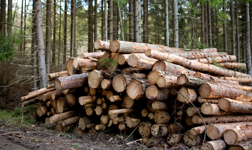 Agriculture & Forestry