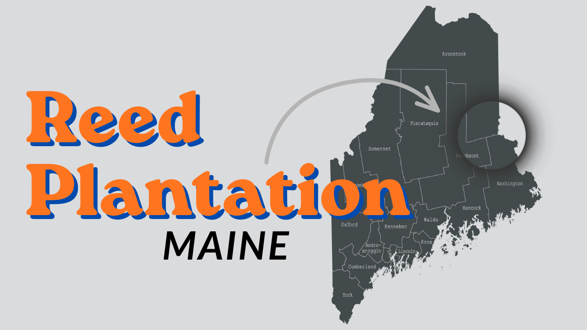 Reed Plantation, Maine