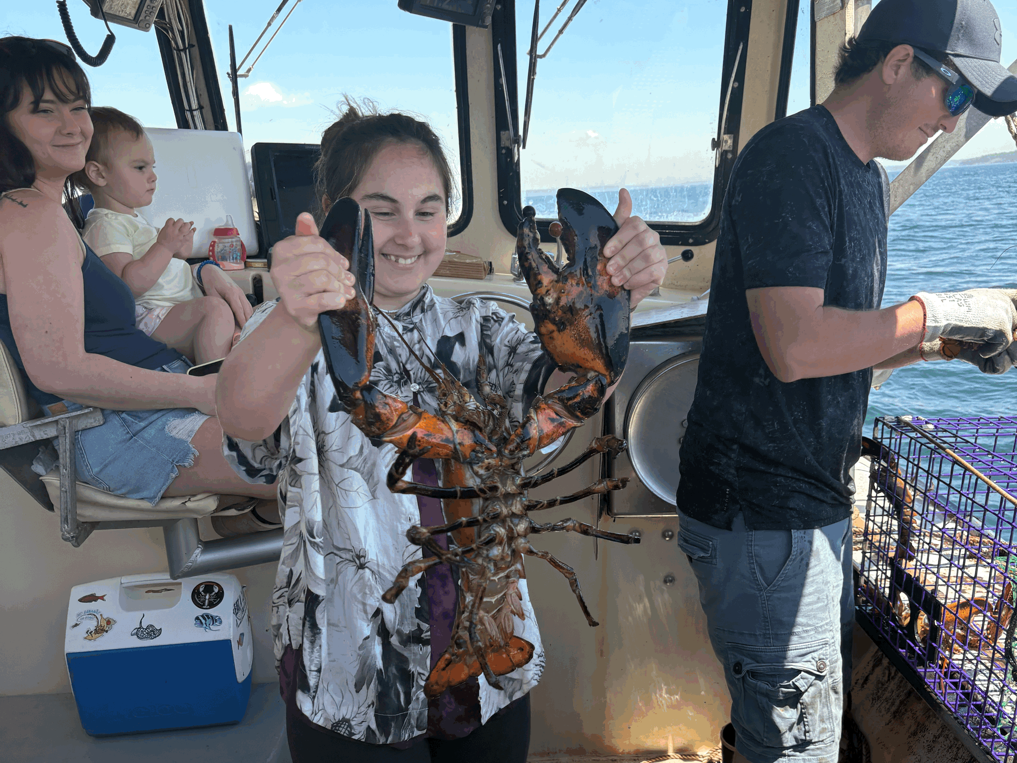 Hauling Traps and Learning the Trade