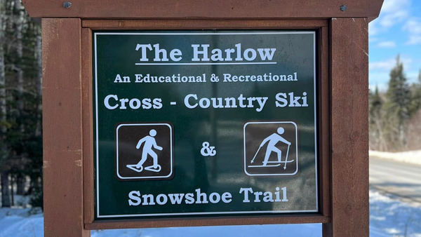 On Foot in the Area