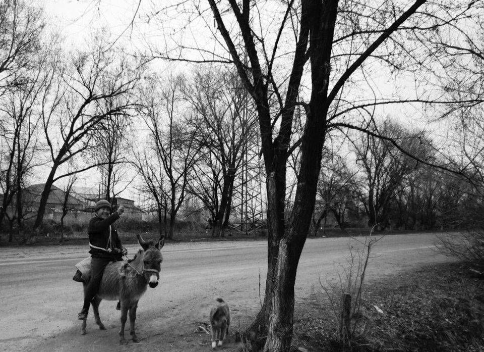 Why Grounded Theory is not for emotional PhD students