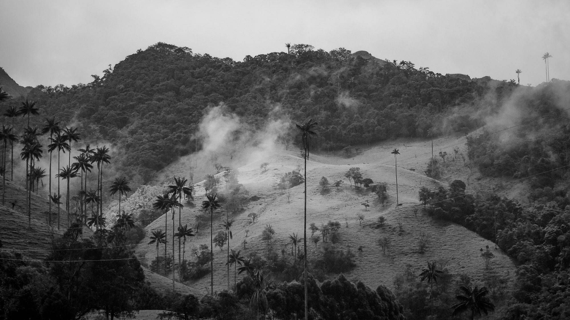 The Colombian Peace Process: an empty bag of unfulfilled promises?