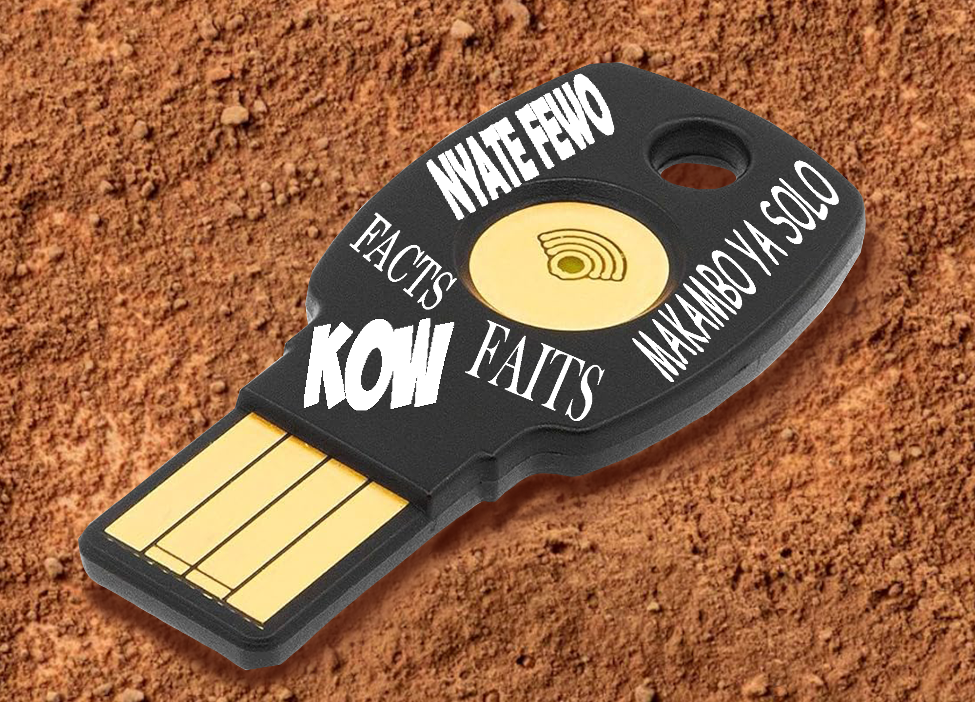 Désinformation en Afrique : pourquoi les langues locales sont la clé du fact-checking