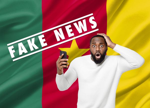 « La désinformation a bonne santé au Cameroun »