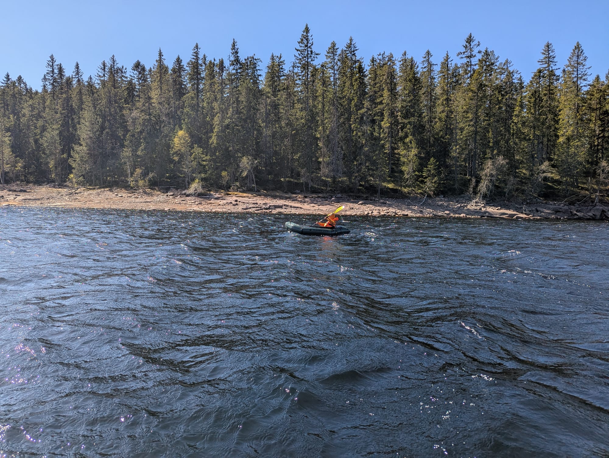 Child in an orange jacket paddling a green packraft with yellow paddles, moving across a wind-rippled lake under a clear blue sky, with a dense pine forest in the background.
