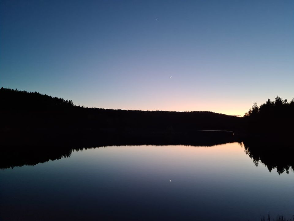 Two Adults, Two Kids, and a Bird of Prey