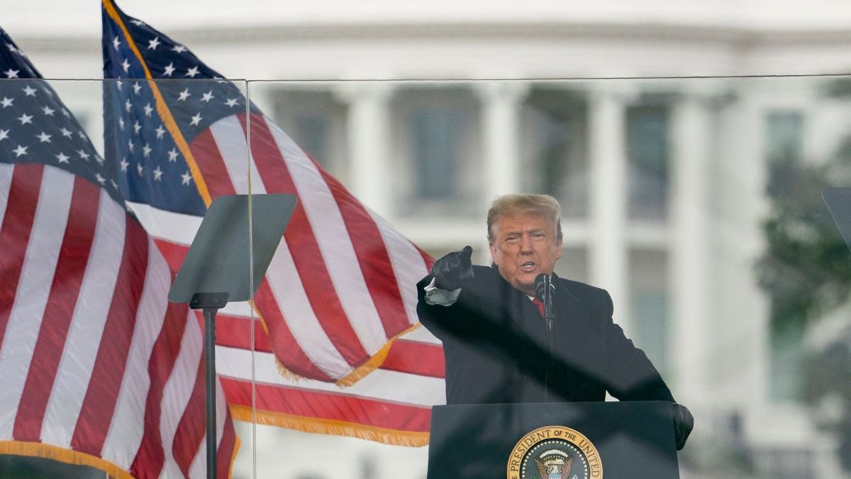 Los trumpiflautas y la jauría