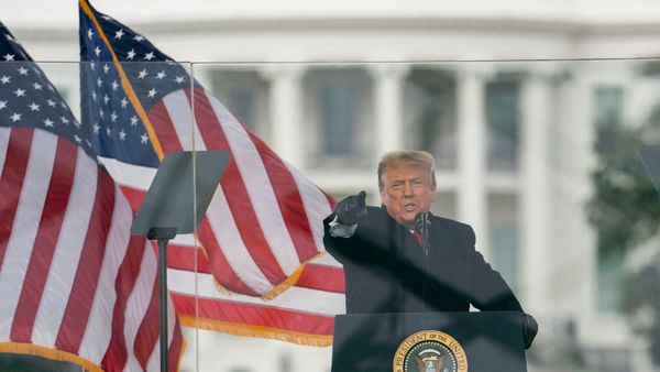 Los trumpiflautas y la jauría