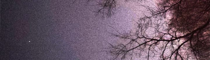 Black bare tree branches against a purple grainy night sky, three stars visible. 