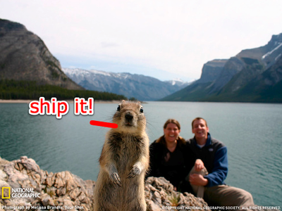 The GitHub Shipit Squirrel