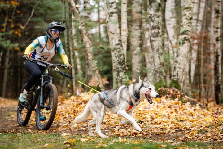 Jessen Secures Highest-Ever Finish for Australia in Sleddog Worlds