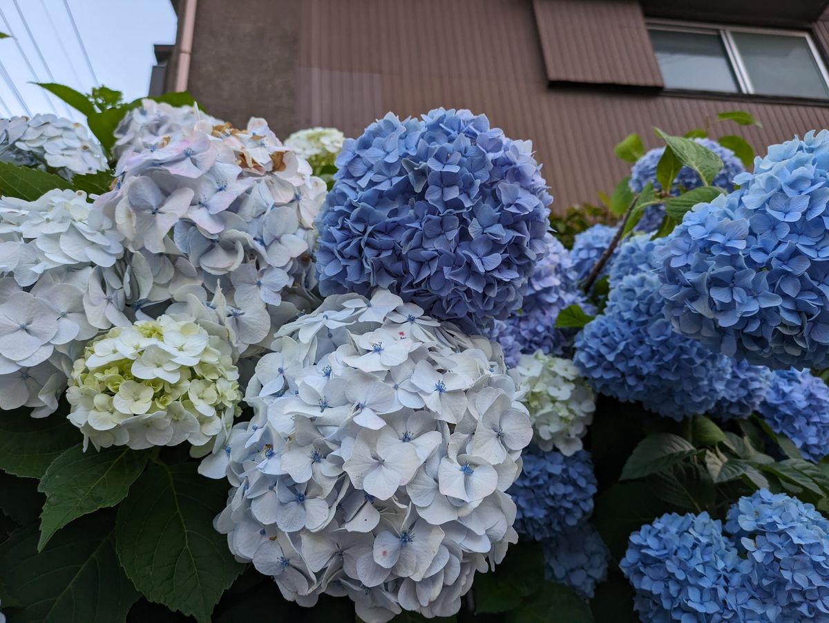 扬袂入泽宫