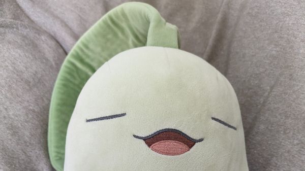 关于睡眠