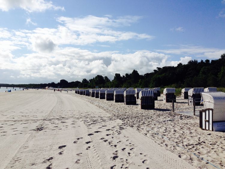 Hacking your Organization: Seeding a Micro Service Architecture