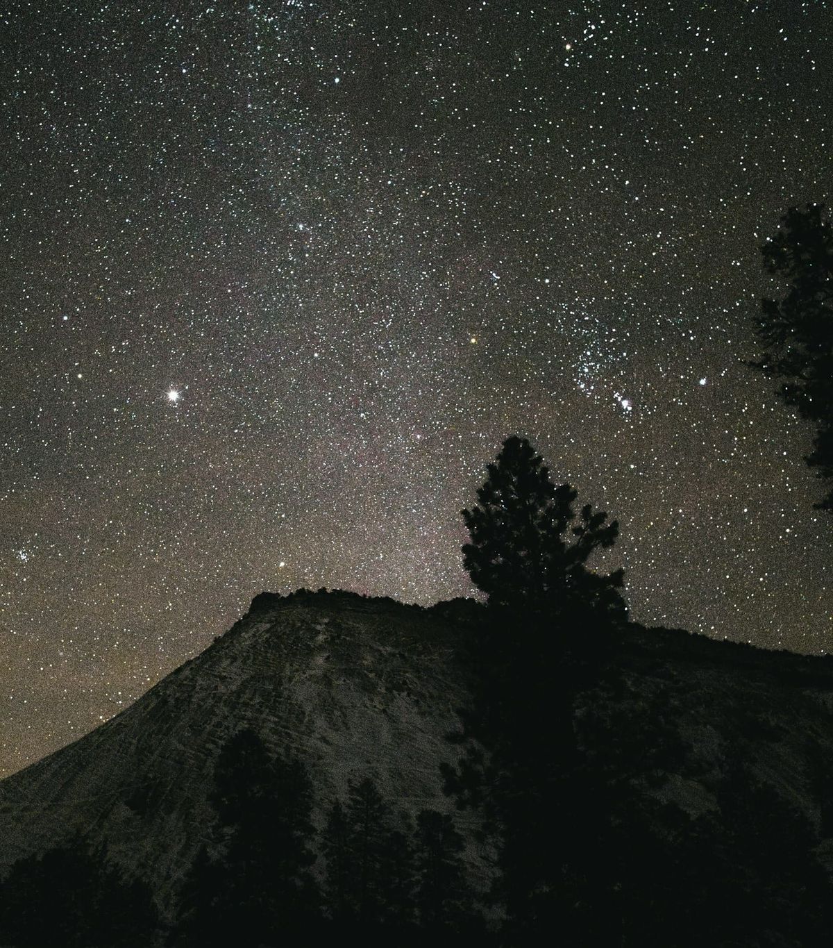 The Power of Staying