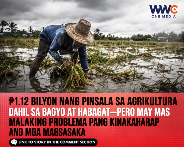 ₱1.12 Bilyon Nang Pinsala sa Agrikultura Dahil sa Bagyo at Habagat—Pero May Mas Malaking Problema Pang Kinakaharap ang mga Magsasaka