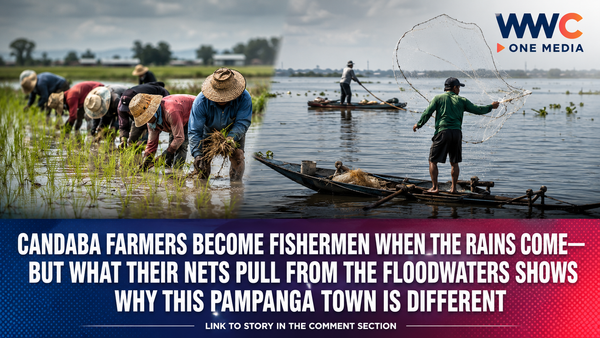 Candaba Farmers Become Fishermen When the Rains Come—But What Their Nets Pull From the Floodwaters Shows Why This Pampanga Town Is Different