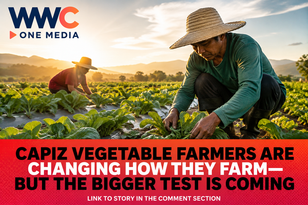 Capiz Vegetable Farmers Are Changing How They Farm—But the Bigger Test Is Coming
