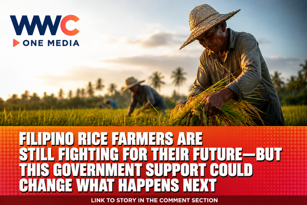 Filipino Rice Farmers Are Still Fighting for Their Future—But This Government Support Could Change What Happens Next
