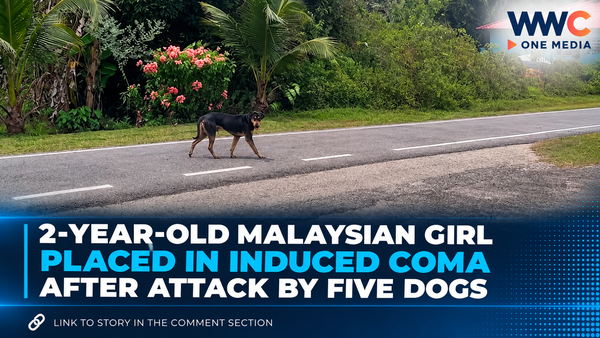 2-Year-Old Malaysian Girl Placed in Induced Coma After Attack by Five Dogs