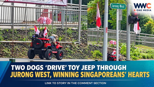 Two Dogs ‘Drive’ Toy Jeep Through Jurong West, Winning Singaporeans’ Hearts