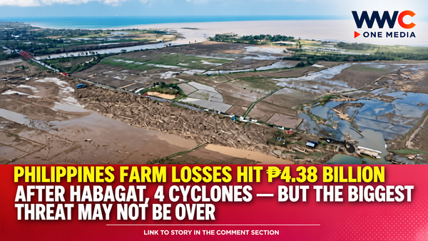 Philippines Farm Losses Hit ₱4.38 Billion After Habagat, 4 Cyclones — But the Biggest Threat May Not Be Over