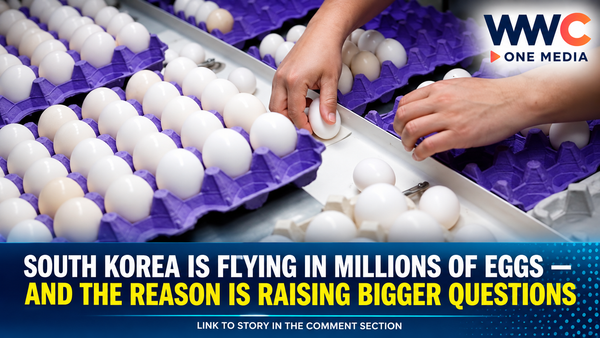 South Korea Is Flying in Millions of Eggs — And the Reason Is Raising Bigger Questions