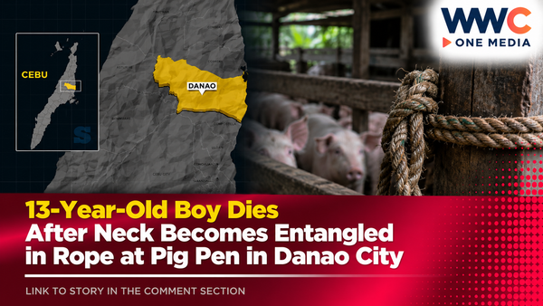 13-Year-Old Boy Dies After Neck Becomes Entangled in Rope at Pig Pen in Danao City