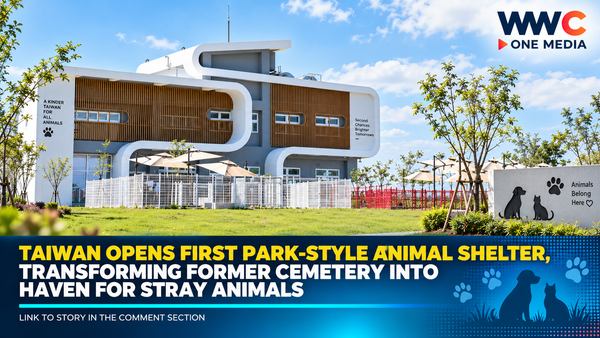 Taiwan Opens First Park-Style Animal Shelter, Transforming Former Cemetery Into Haven for Stray Animals