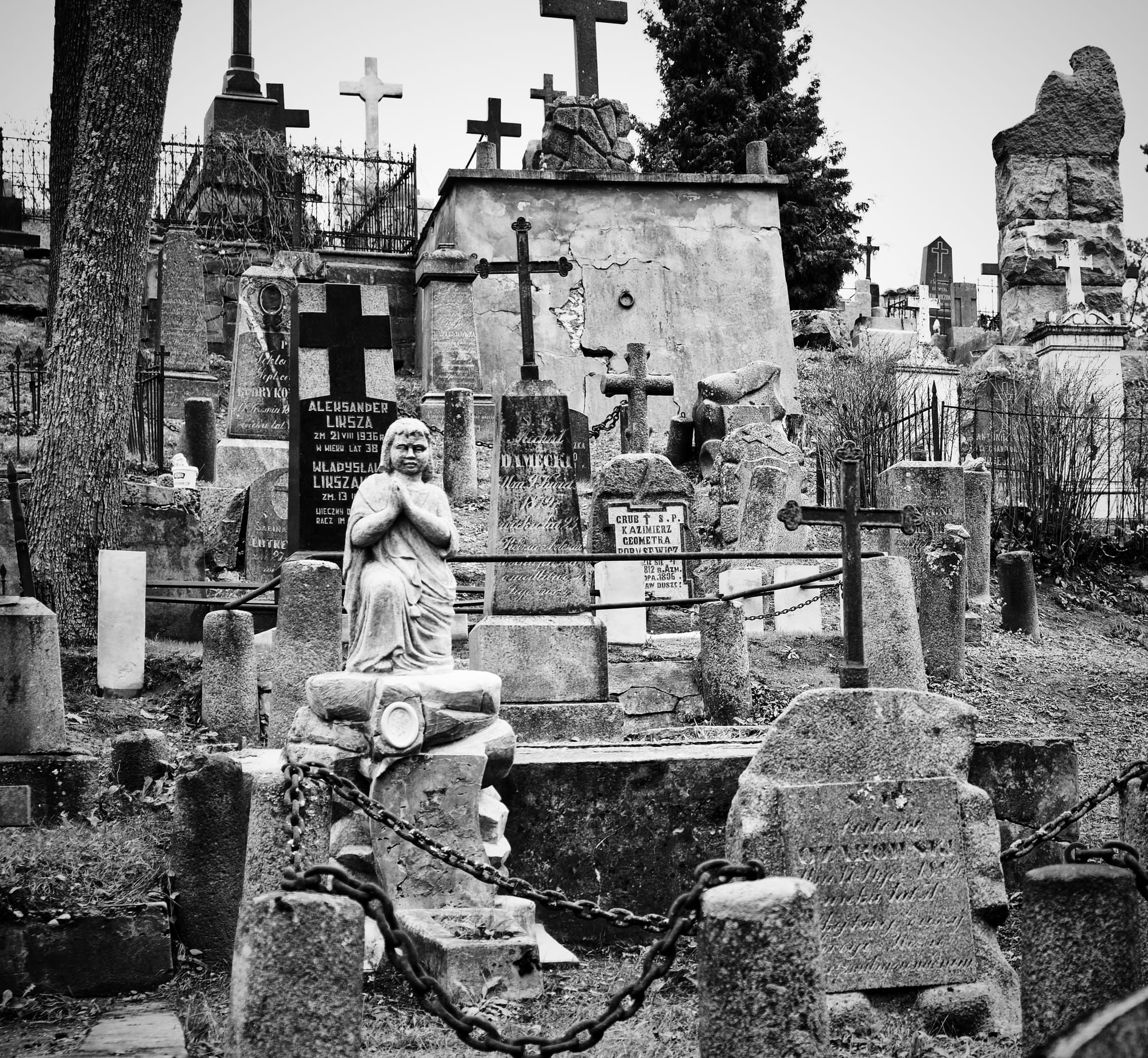 nobody wanted to die (maybe)