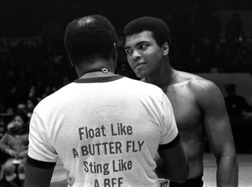 knock them out