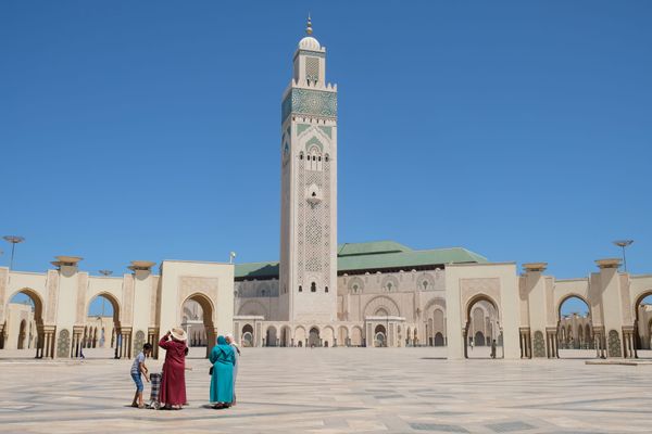 casablanca driver