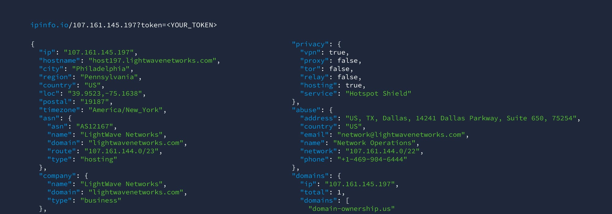 A Comprehensive Guide to IPinfo's CLI