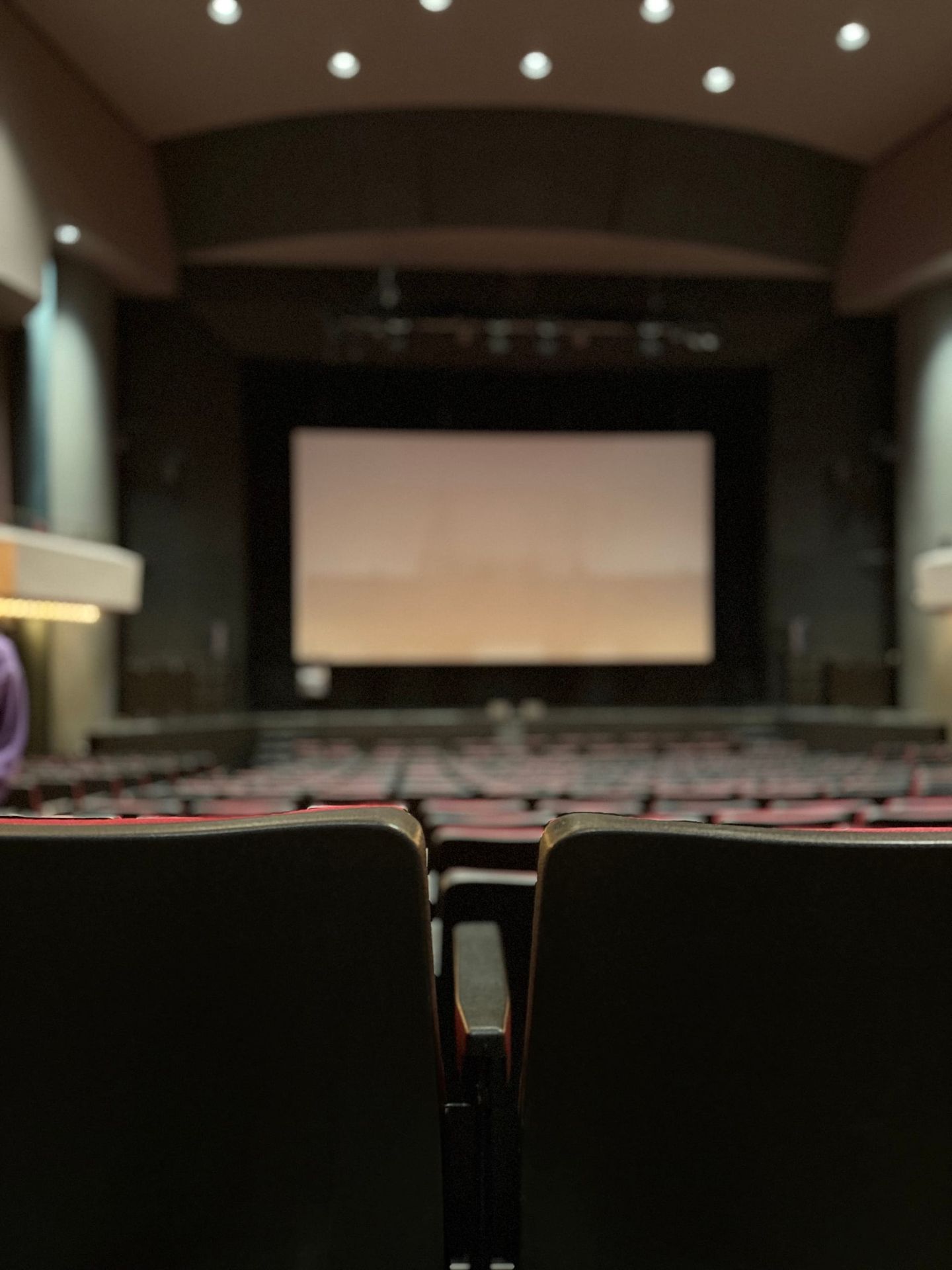 View from back seats of a large auditorium with rows of dark seats facing a lit projection screen on stage, dimly lit.