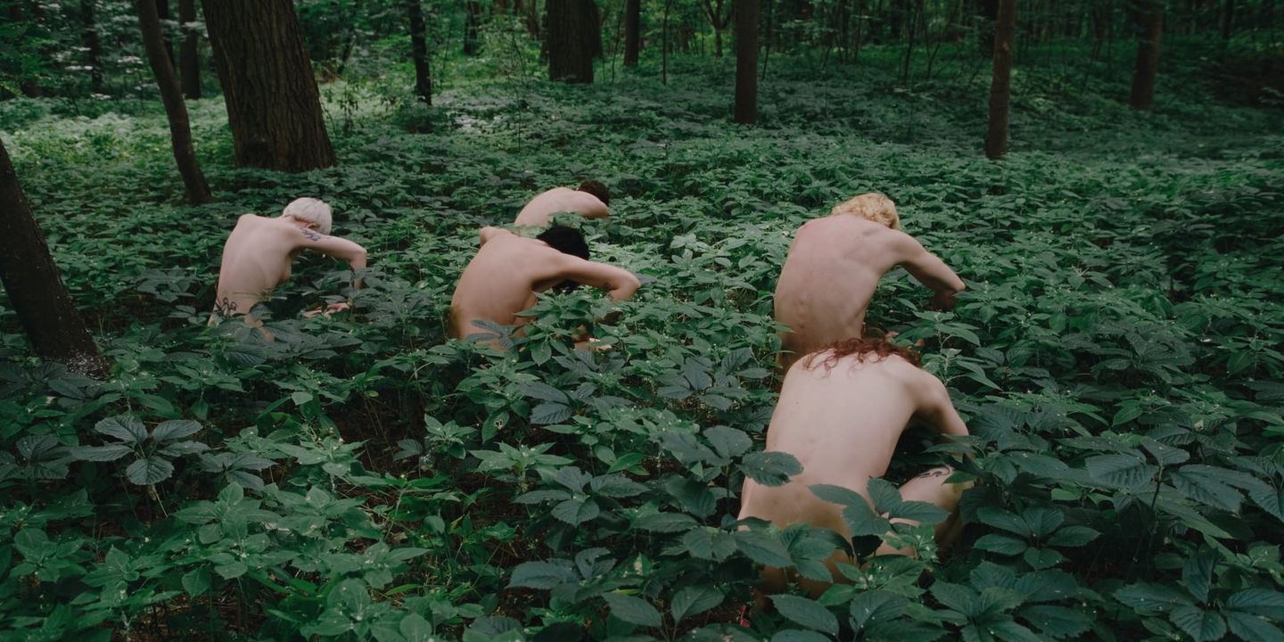 Four shirtless people crawling through dense green undergrowth in a forest, their backs visible, facing away from camera.