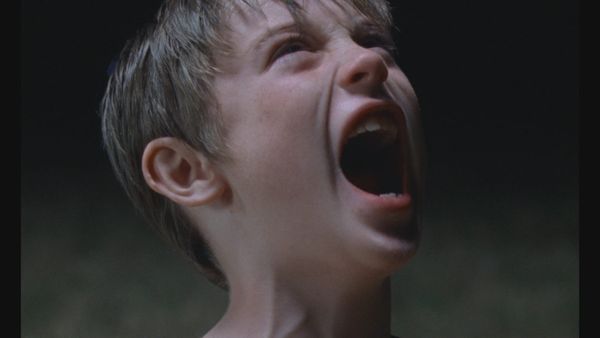 FLINT, a surrealist cycle | Sweet and Short