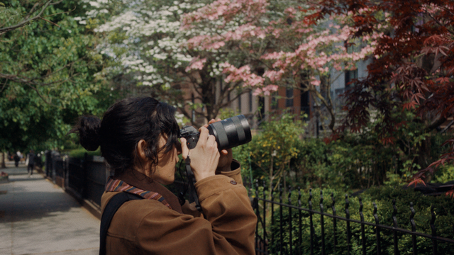 Person with hair in a bun photographs flowering trees on a tree-lined sidewalk, using a mirrorless camera with telephoto lens.