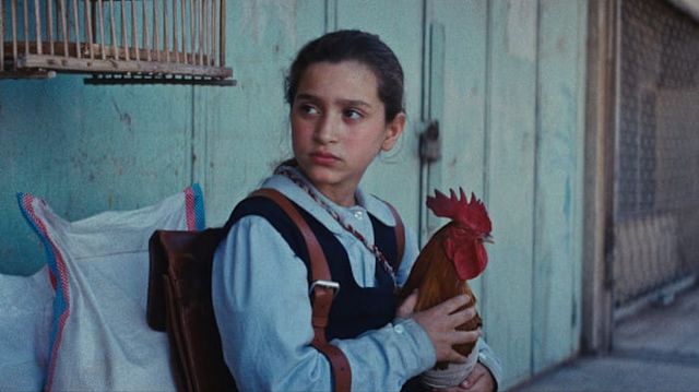 Young girl in school uniform with backpack holds a rooster against a pale blue wall, birdcage visible behind her.