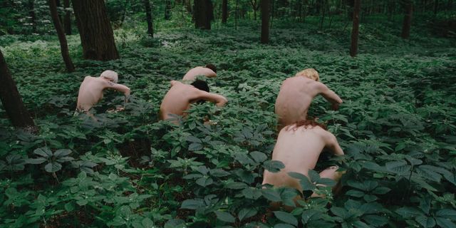 Four shirtless people crawling through dense green undergrowth in a forest, their backs visible, facing away from camera.