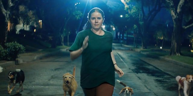 Woman in green top running down a tree-lined street at night, surrounded by several dogs including a golden retriever and beagle.