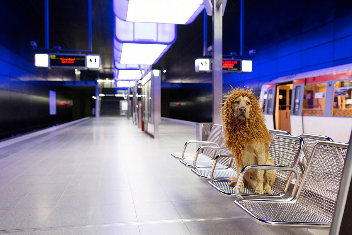 The opportunity cost