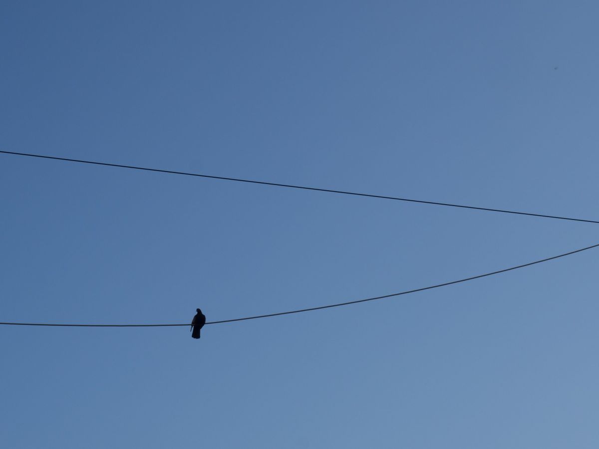 People who (don't) plan