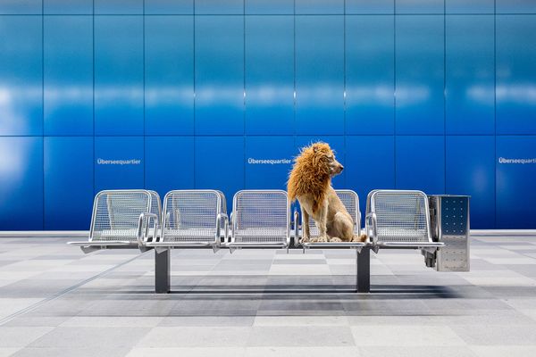 Starting the job search