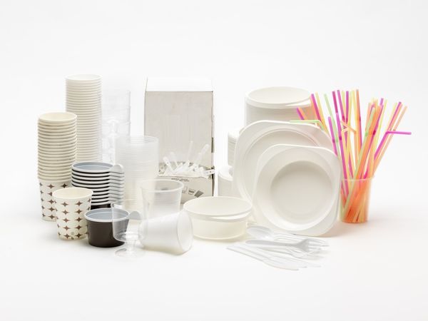 The Disposables Debate