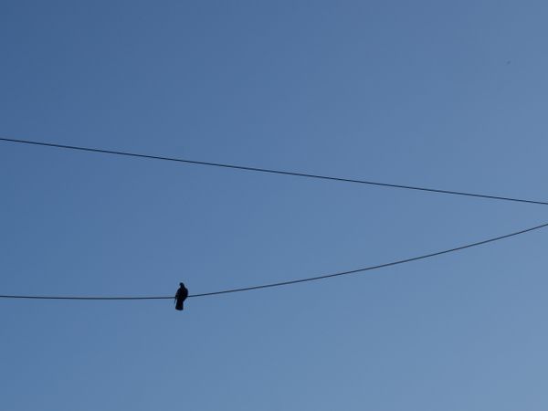 People who (don't) plan