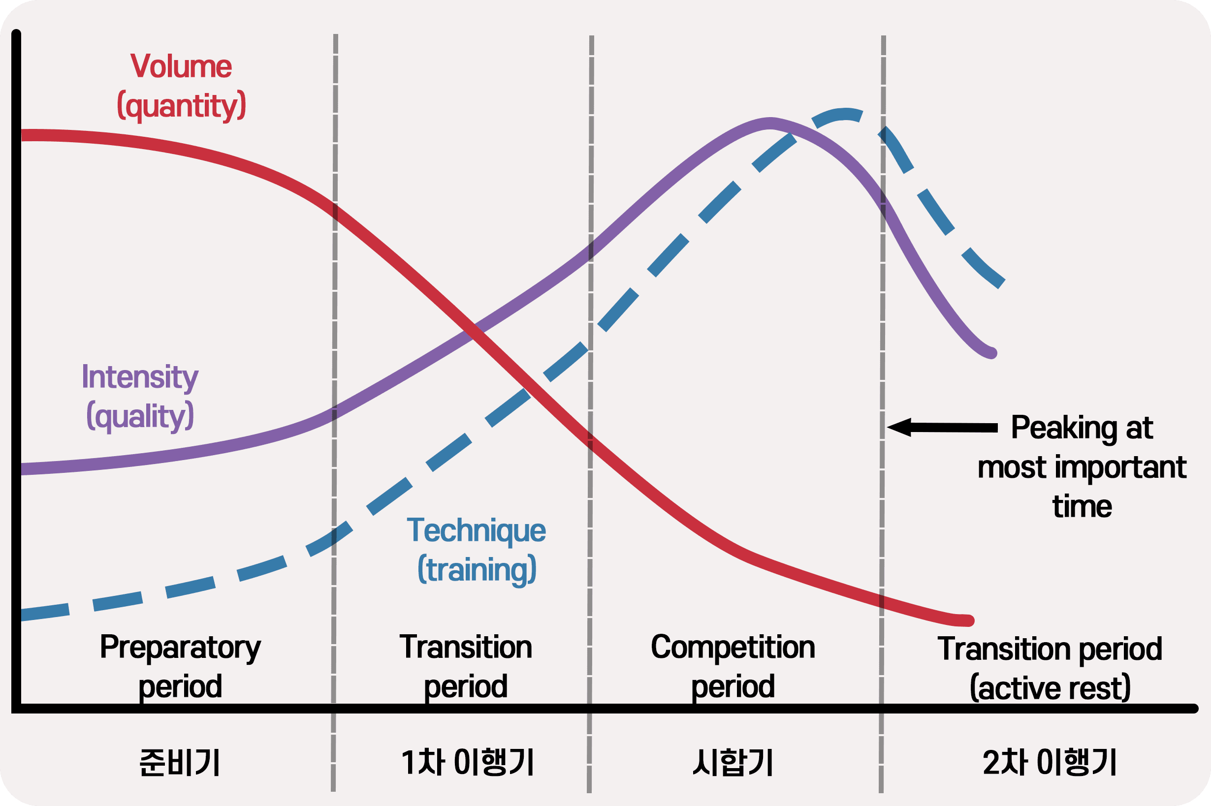 트레이닝 주기화 그래프