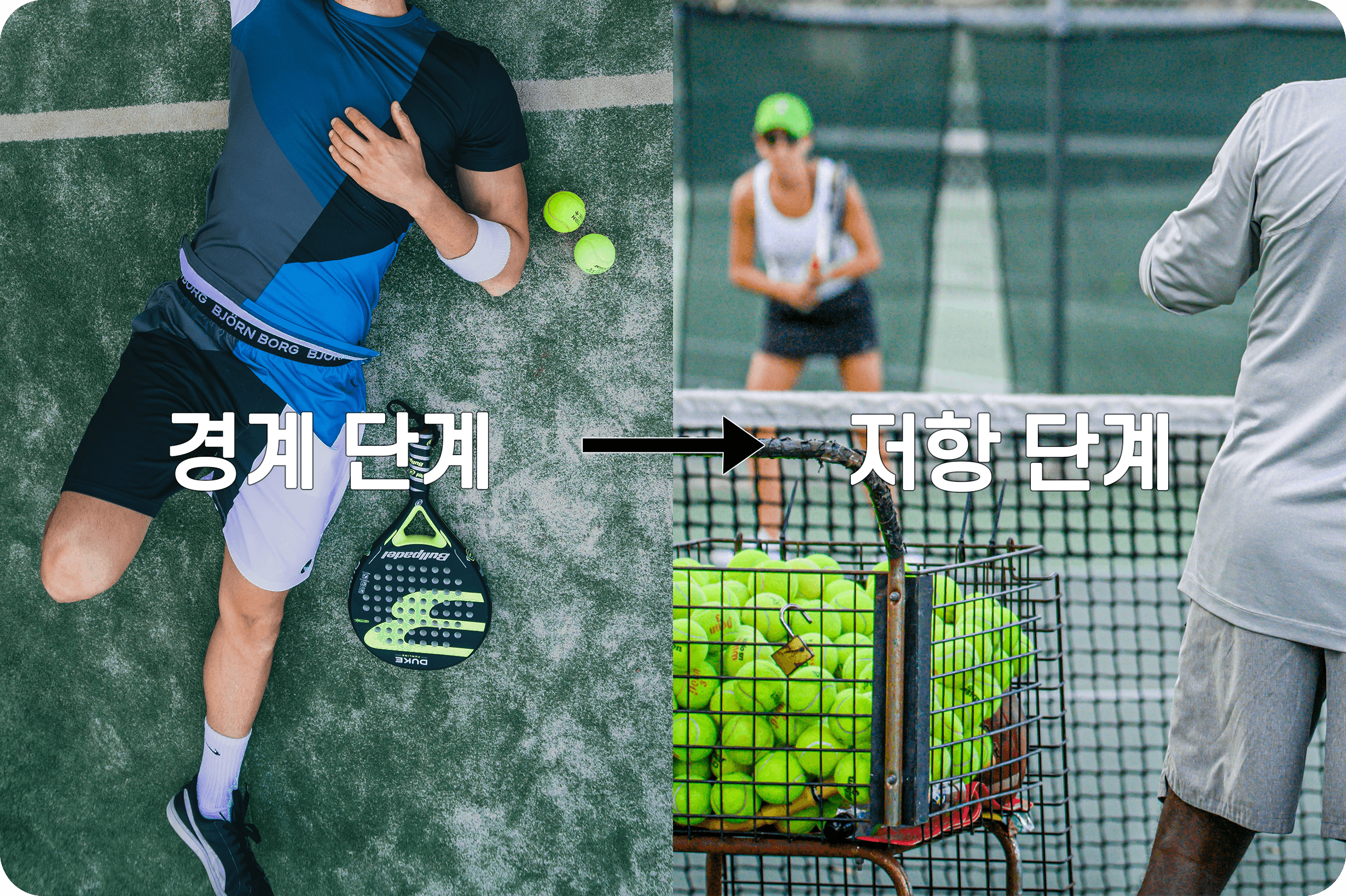 경계 단계에서 저항 단계로 가는 과정을 나타낸 사진