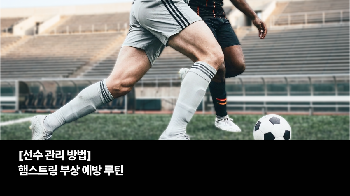 [선수 관리 방법]  햄스트링 부상 예방 루틴